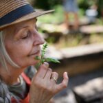 Wenn möglich lassen Sie ihren Garten von einem Profi so gestalten, dass Sie möglichstwenig Arbeit und viel Freizeitwert haben. Bildquelle: © Getty Images / Unsplash.com