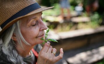Gartengestaltung: Beauftragen Sie einen Profi mit Ihrem Projekt Wenn möglich lassen Sie ihren Garten von einem Profi so gestalten, dass Sie möglichstwenig Arbeit und viel Freizeitwert haben. Bildquelle: © Getty Images / Unsplash.com