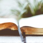 Gerade bei einem Todesfall kommt es auf die richtige Gestaltung der Trauerschleifen an. Bildquelle: © Ben White / Unsplash.com