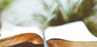 Trauerschleifen gestalten: Ein persönlicher Ausdruck der Anteilnahme Gerade bei einem Todesfall kommt es auf die richtige Gestaltung der Trauerschleifen an. Bildquelle: © Ben White / Unsplash.com