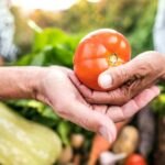 Der Garten/Balkon ist und bleibt für die meisten von uns ein Rückzugsort für Körper, Geist und Seele. Bildquelle: Getty Images / Unsplash.com