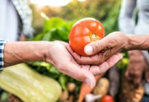 Der Garten als Rückzugsort für Körper und Seele Der Garten/Balkon ist und bleibt für die meisten von uns ein Rückzugsort für Körper, Geist und Seele. Bildquelle: Getty Images / Unsplash.com