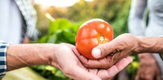 Der Garten als Rückzugsort für Körper und Seele Der Garten/Balkon ist und bleibt für die meisten von uns ein Rückzugsort für Körper, Geist und Seele. Bildquelle: Getty Images / Unsplash.com