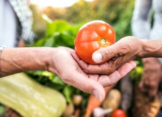Der Garten als Rückzugsort für Körper und Seele Der Garten/Balkon ist und bleibt für die meisten von uns ein Rückzugsort für Körper, Geist und Seele. Bildquelle: Getty Images / Unsplash.com