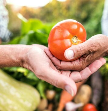 Der Garten als Rückzugsort für Körper und Seele Der Garten/Balkon ist und bleibt für die meisten von uns ein Rückzugsort für Körper, Geist und Seele. Bildquelle: Getty Images / Unsplash.com