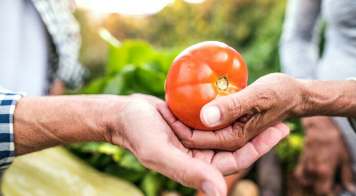 Der Garten als Rückzugsort für Körper und Seele Der Garten/Balkon ist und bleibt für die meisten von uns ein Rückzugsort für Körper, Geist und Seele. Bildquelle: Getty Images / Unsplash.com