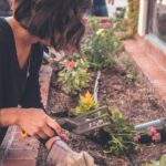 Vor allem in den Städten sind gemeinschaftsgärten eine tolle Alternative für gemeinschaftliche Arbeit und der Freude an Pflanzen. Bildquelle: © Kenny Eliason / Unsplash.com