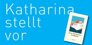 Katharina stellt vor: GOTTHARD von Zora del Buono GOTTHARD von Zora des Bouno, erschienen im Diogenes Verlag. Bildquelle: © Katharina Martini / Diogenes Verlag