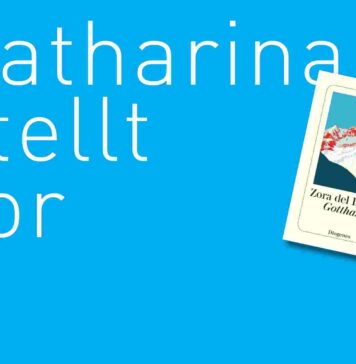 Katharina stellt vor: GOTTHARD von Zora del Buono GOTTHARD von Zora des Bouno, erschienen im Diogenes Verlag. Bildquelle: © Katharina Martini / Diogenes Verlag