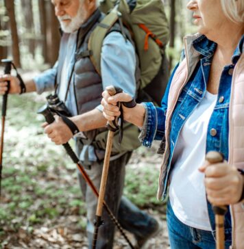 Bayerischer Wald: Den Urlaub genießen Abwechslung und Entspannung sind eine sehr gute Kombination im Urlaub und da hat der Bayerische Wald einiges zu bieten. Bildquelle: © Getty Images / Unsplash.com