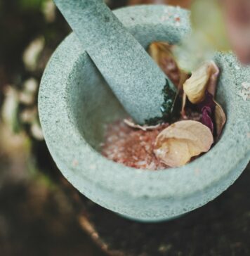 Gesundheit im Alter: Warum natürliche Mittel immer beliebter werden Natürliche Mittel wie z. B. Artemsia Annua können bei gesundheitlichen Beschwerden deutliche Erleichterung verschaffen. Bildquelle: © Katherine Hanlon / Unsplash.com