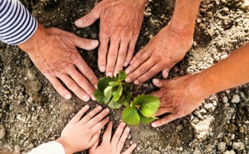 Nachhaltigkeit – nicht nur für jüngere Generationen ein Thema Das Thema "Nachhaltigkeit" bekommt inzwischen auch in der Generation 59plus eine immer größere Relevanz. Bildquelle: © Getty Images / Unsplash.com