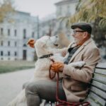 Als “Dogsitter:in” verbinden Sie die Leidenschaft für ein Haustier mit einem kleinen zusätzlichen Obulus im Portemannai. Dieses Modell ist vor allem für die Menschen der Generation 59plus interessant, die selbst die Verantwortung nicht mehr übernehmen wollen, aber auf die tolle Gesellschaft von z. B. Hunden nicht verzichten möchten. Bildquelle: © Getty Images / Unsplash.com