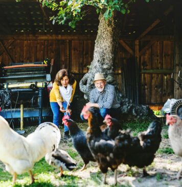 Hund, Katze, Maus: Menschen im Alter 59plus und ihre Haustiere Hund, Katze oder Hühner - egal für welches Haustier Sie sich entscheiden: es wird Ihnen jeden Tag ein Lächeln ins Gesicht zaubern. Bildquelle: © Getty Images / Unsplash.com