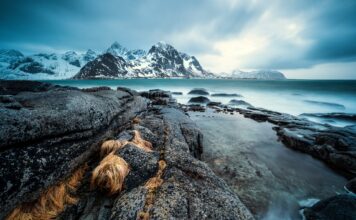 Camping in Norwegen: Die Lofoten als perfektes Ziel für Naturtouristen Unser Reisetipp der etwas anderen Art - für alle Naturliebhaber und Individualreisende: Die Lofoten. Bildquelle: © David Becker / Unsplash.com