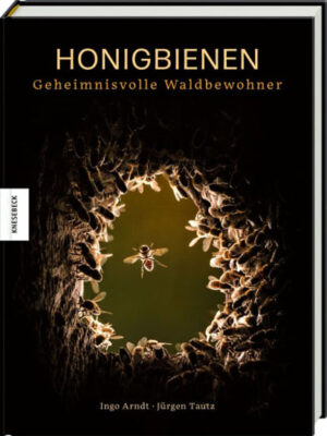 Honigbienen