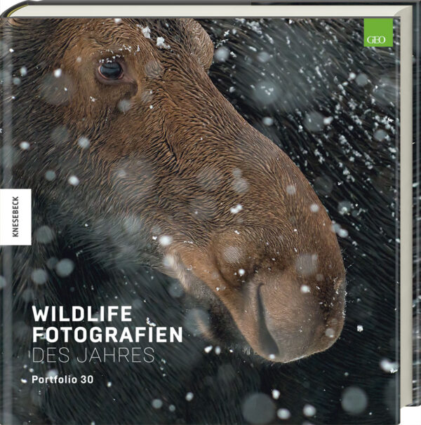 Wildlife Fotografien des Jahres.