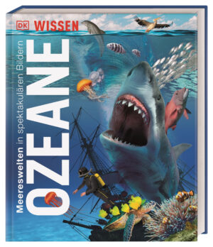 Wissen