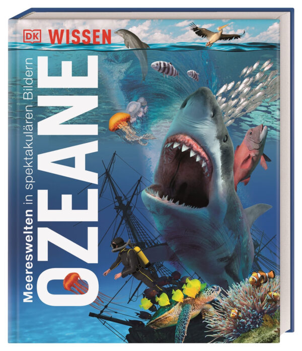 Wissen