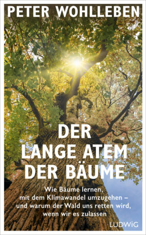 Peter Wohlleben: Der lange Atem der Bäume.