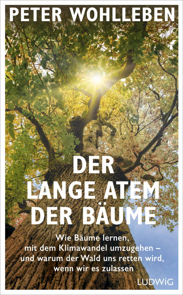 Peter Wohlleben: Der lange Atem der Bäume.