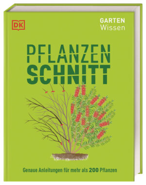 Gartenwissen Pflanzenschnitt.