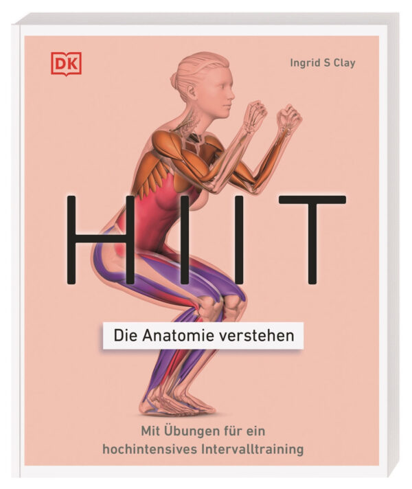 HIIT - Die Anatomie verstehen.