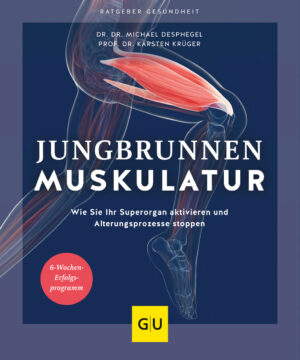 Jungbrunnen Muskulatur.