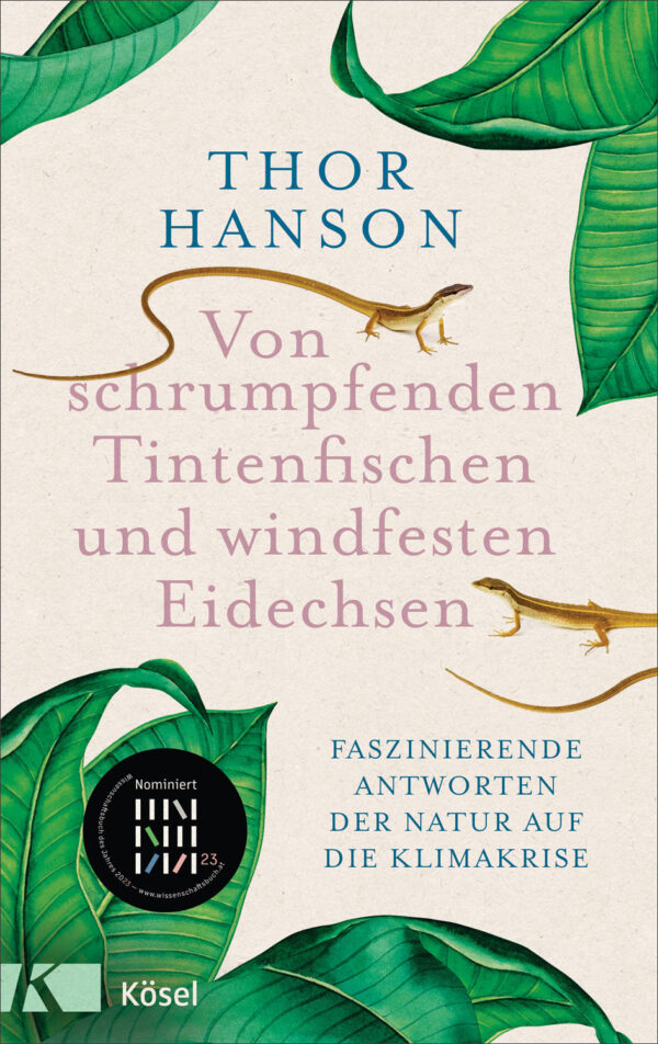 Von schrumpfenden Tintenfischen und windfesten Eidechsen.