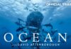 Filmtipp im Mai: OZEAN mit David Attenborough