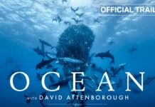 Filmtipp im Mai: OZEAN mit David Attenborough