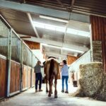 Auch Stallbesitzer sollten viel Wert auf eine geräumige und gut ausgestattete Pferdebox legen. Das erleichtert im Alltag auch ihre Arbeit. Bildquelle: © Getty Images / Unsplash.com