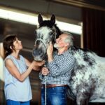 Der Reitsport ist in der generation 59plus weit verbreitet. Aber hat Ihr Vierbeiner auch wirklich die passende Pferdebox oder wäre es auch hier an der Zeit mal über eine Modernisierung nachzudenken? Bildquelle: © Getty Images / Unsplash.com