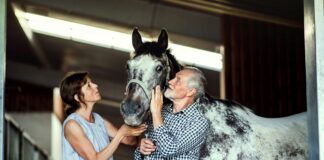 Reitsport bei 59plus: Welche Pferdebox passt zu Ihrem Pferd? Der Reitsport ist in der generation 59plus weit verbreitet. Aber hat Ihr Vierbeiner auch wirklich die passende Pferdebox oder wäre es auch hier an der Zeit mal über eine Modernisierung nachzudenken? Bildquelle: © Getty Images / Unsplash.com