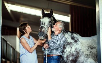 Reitsport bei 59plus: Welche Pferdebox passt zu Ihrem Pferd? Der Reitsport ist in der generation 59plus weit verbreitet. Aber hat Ihr Vierbeiner auch wirklich die passende Pferdebox oder wäre es auch hier an der Zeit mal über eine Modernisierung nachzudenken? Bildquelle: © Getty Images / Unsplash.com