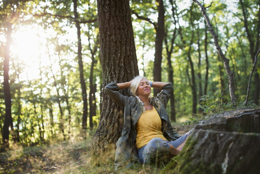 Suchen Sie kühle Orte, wie z. B. den Wald, wenn Sie sich draussen bewegen möchten. Das ideaöerweise dann auch noch in den frühen Morgen- oder Abendstunden, wenn die Sonne nicht mehr so hoch steht. Bildquelle: © Getty Images / Unsplash.com