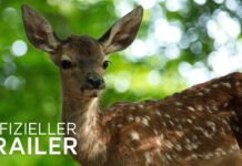 Gewinnen Sie die DVD und ein Überraschungs-Kochbuch zum Heimkinostart von “BAMBI”