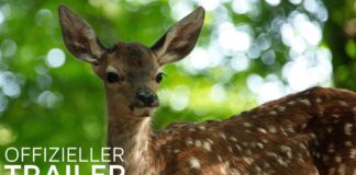 Gewinnen Sie die DVD und ein Überraschungs-Kochbuch zum Heimkinostart von “BAMBI”