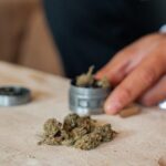Im Vergleich zu früher ist Cannabis inzwischen legalisiert und darf in bestimmten und gesetzlich vorgegebenen Mengen sogar öffentlich konsumiert werden. Bildquelle. © Felipe Ditadi / Unsplash.com