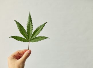 Cannabis im Alter: Was Senioren über legales Rauchen wissen sollten Cannabis gewinnt auch für die Generation 59plus zunehmend mehr an Bedeutung. Nicht selten wird es inzwischen in Absprache mit den behandelnden Ärzten empfohlen. Bildquelle. © Natalia Blauth / Unsplash.com
