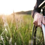 Rollstuhlgerechte Freizeitaktivitäten lassen sich glücklicherweise inzwischen deutlich besser planen als noch vor ein paar Jahren. Bildquelle: © Getty Images / Unsplash.com